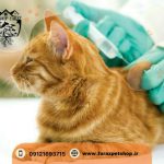 اصلاح و شستشوی حیوانات خانگی